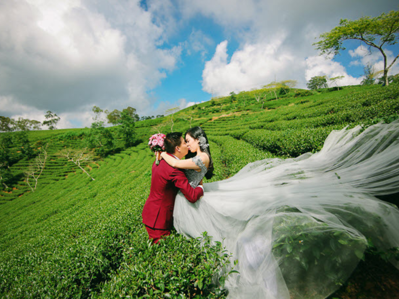 Đồi chè Hương Trà địa điểm chụp ảnh cưới đẹp ởHà Tĩnh